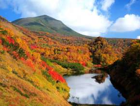 Kinh nghiệm du lịch Nhật Bản tháng 3